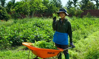 Cô gái đánh thức 'mỏ vàng xanh'