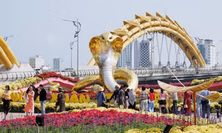 Lần đầu giữ lại đường hoa Tết, Đà Nẵng sẽ chăm sóc như thế nào?