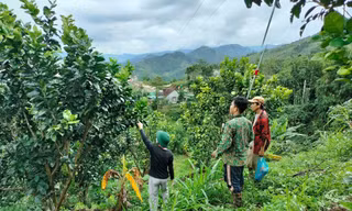 Miền núi Quảng Ngãi bừng sáng từ 'cần câu' sinh kế
