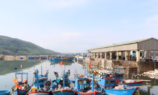 Cửa biển bồi lấp, hàng trăm tàu cá Quảng Ngãi phải 'ly hương'
