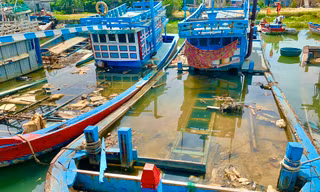 Quảng Ngãi xóa tên 244 tàu trong sổ đăng ký tàu cá quốc gia