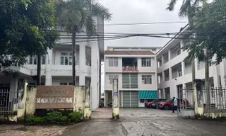 Quảng Ngãi: 63 trường hợp thôi việc, nghỉ hưu trước tuổi