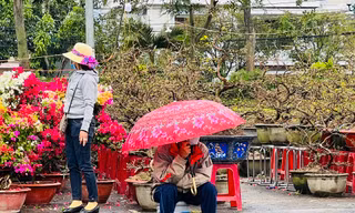 Chợ hoa lớn nhất Quảng Ngãi ế ẩm, tiểu thương co ro trong gió lạnh