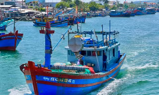Quảng Ngãi chỉ đạo, xác minh thông tin chủ tàu cá trục lợi chính sách