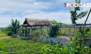 Các khoản phí phải nộp khi chuyển đổi đất vườn lên đất thổ cư năm 2025 người dân cần biết 