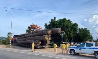 Quảng Ngãi phạt hơn 10 tỷ đồng xe chở quá khổ, quá tải
