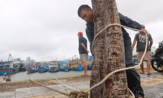 Người dân Đà Nẵng neo đậu tàu cá tránh bão số 6 ở âu thuyền Thọ Quang. 