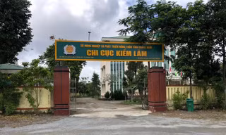 Chi cục kiểm lâm Quảng Ngãi mắc nhiều sai sót