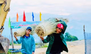 Người dân xứ Quảng kiếm bộn tiền nhờ hái 'lộc rừng'