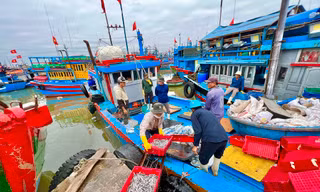 Quảng Ngãi có trên 99% tàu cá đã lắp đặt thiết bị giám sát hành trình
