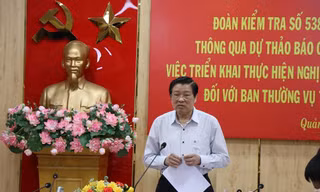 Quảng Ngãi: 11 tổ chức đảng và 78 đảng viên có khuyết điểm, vi phạm
