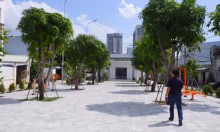 Giữ đất, trồng cây cho thế hệ sau 