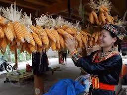 Vào bản “ngủ thăm” cùng sơn nữ