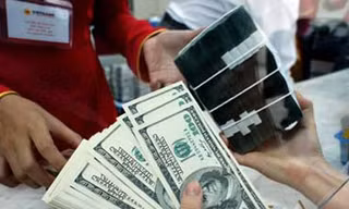Đổ xô vay... USD