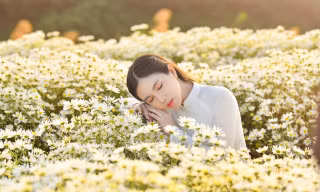 Cựu nữ sinh Đại học Gia Định ra Hà Nội chụp ảnh cùng Cúc Họa Mi