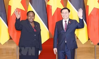 Việt Nam đặc biệt coi trọng quan hệ hợp tác, hữu nghị với Mozambique