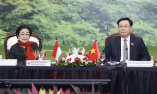 Việt Nam và Indonesia cần tăng cường hơn nữa quan hệ hợp tác