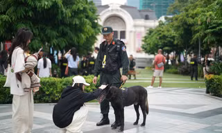 Người dân thích thú chụp ảnh cùng cảnh khuyển ở trung tâm thành phố