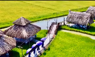 Tháo dỡ khu sinh thái 'Không Thời Gian' xây dựng trái phép trên đất lúa