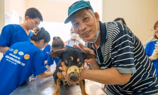 Người dân Long An phấn khởi đưa chó mèo đi tiêm phòng dại
