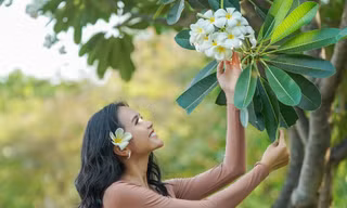 Đẹp nao lòng khung cảnh đôi bờ kênh Nhiêu Lộc mùa thay lá