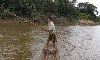 Người Tsimane dành cả ngày để đi săn, đánh bắt cá và hái lượm. (Ảnh: Daily Mail) 