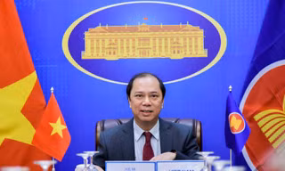 Thứ trưởng Nguyễn Quốc Dũng tham dự cuộc họp. (Ảnh: Mofa)