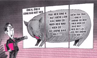 Kiện đòi heo rừng sổng chuồng