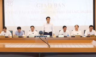 Chủ tịch Hà Nội: Xử nghiêm vụ 'xẻ thịt' đất rừng Sóc Sơn bất kể là ai