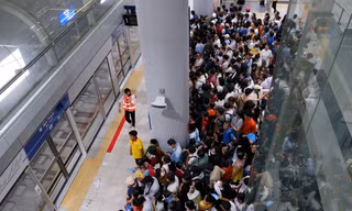 Khách vô tư cởi đồ 'sống ảo', dắt thú cưng đi dạo metro TPHCM