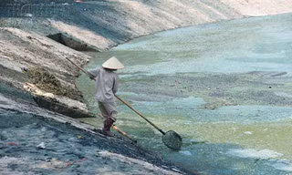 Sở Xây dựng hồi âm vụ hồ Ngọc Khánh ô nhiễm