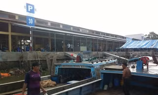 Tàu thuyền cập bến chợ đầu mối thủy hải sản của Cty Châu Việt Long