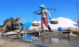 Diêm dân Cát Minh (Phù Cát, Bình Định) thua lỗ nặng nề nhất trong 5 năm qua giá muối xuống quá thấp. Ảnh: Hoài Văn