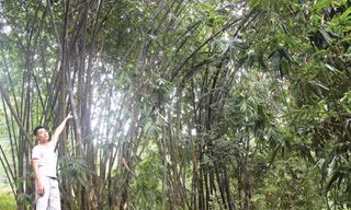Anh Quách Hưng Thịnh giới thiệu về vườn cò.