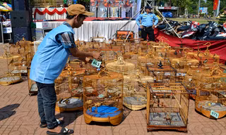 Thi chim cảnh quyên tiền từ thiện