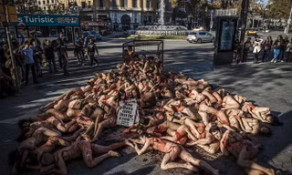 Hơn 100 người khỏa thân ở nơi đông khách du lịch tại Barcelona, Tây Ban Nha. Ảnh: Zuma Wire