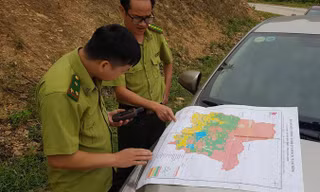 Sau khi Tiền Phong phản ánh, phía hạt kiểm lâm Ðông Triều dùng máy định vị để xác định lại diện tích rừng phòng hộ bị tàn phá.