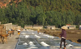 Diêm dân đang ngày càng ít mặn mà với nghề làm muối truyền thống.