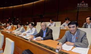 Các đại biểu Quốc hội thông qua Luật tạm giữ, tạm giam. 