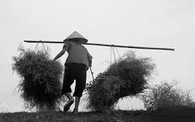 Ngành giáo dục Nghệ An sẽ phát động cuộc thi viết về mẹ