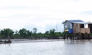 Chòi canh Khu vực nuôi sò huyết thực nghiệm gây tranh cãi.