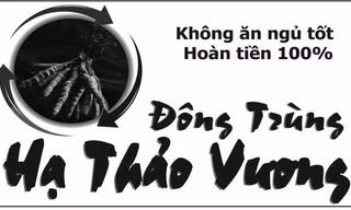 Mệt mỏi, mất ngủ, chán ăn và cam kết… là tiên?