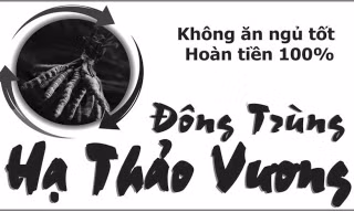 Mệt mỏi và Đông trùng Hạ thảo vương để ngủ tốt, ăn tốt