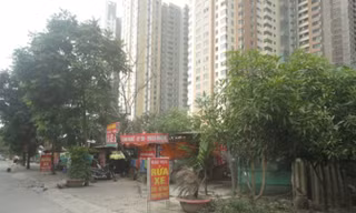 Nhếch nhác chiếm dụng đất công