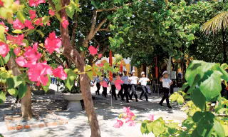 Hoa giấy trên đảo Sinh Tồn. Ảnh: Trường Phong
