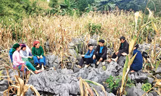 Người Cờ Lao tái hiện cảnh hát giao duyên.