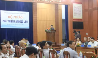 Toàn cảnh hội thảo