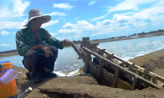 Anh Tòng lấy nước vào ruộng muối giữa 12 giờ trưa nắng. Ảnh: Ngô Bình