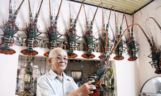 Ông Nguyễn Minh Châu và những con tôm hùm tre do ông chế tác. Ảnh: H. Văn