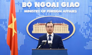 Người phát ngôn Bộ Ngoại giao Lê Hải Bình. Ảnh: Zing